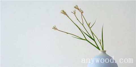 批木网 anywood.com