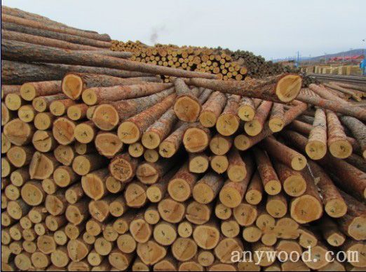 批木网 anywood.com