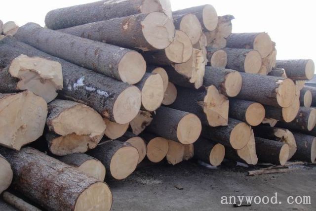 批木网anywood.com