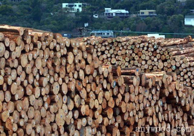 批木网anywood.com