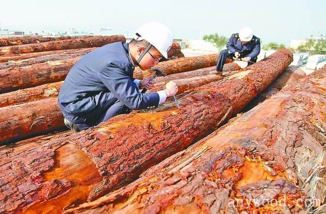 批木网anywood.com