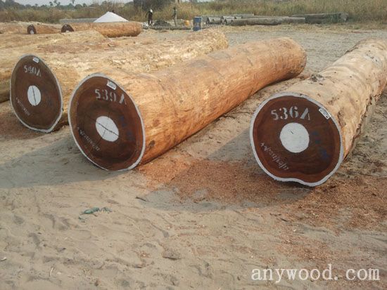 批木网 anywood.com