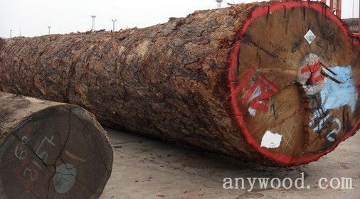 批木网 anywood.com