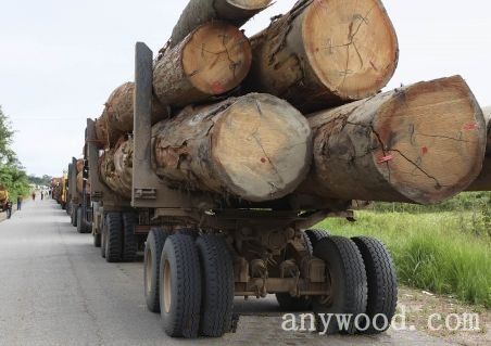 批木网 anywood.com