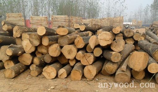 批木网 anywood.com