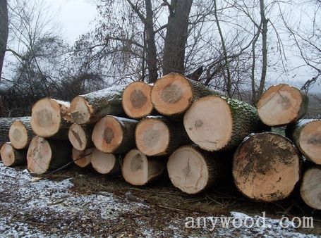 批木网 anywood.com