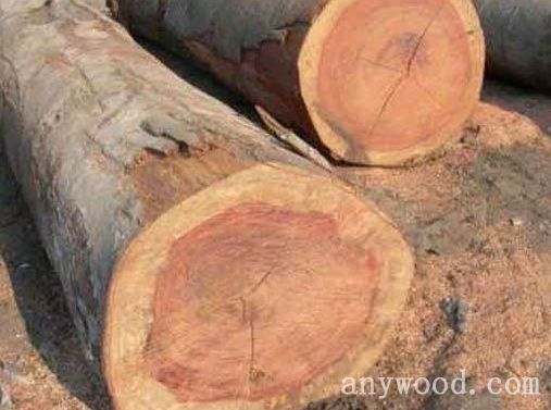 批木网 anywood.com