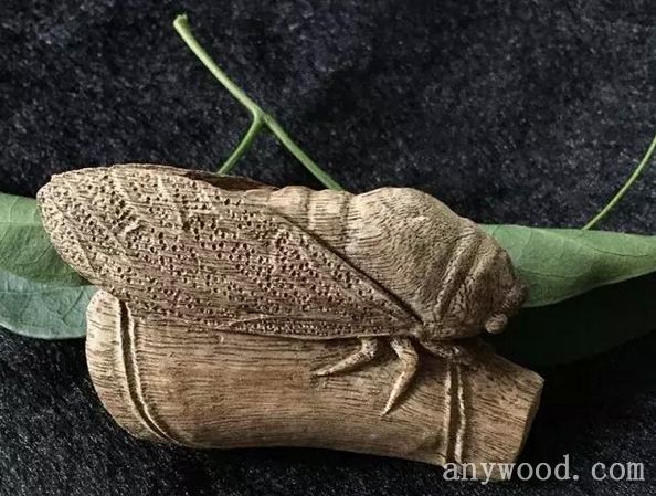 批木网 anywood.com