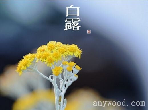 批木网 anywood.com