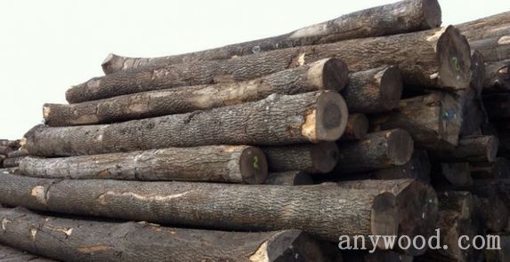 批木网 anywood.com