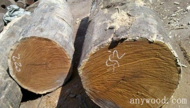 批木网 anywood.com