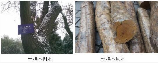 批木网 anywood.com