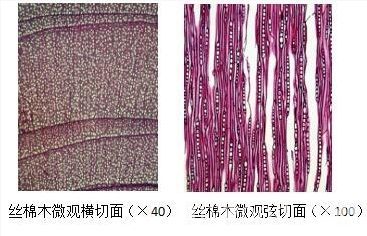 批木网 anywood.com