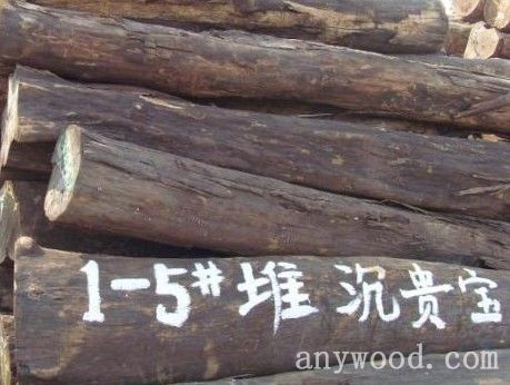 批木网anywood.com