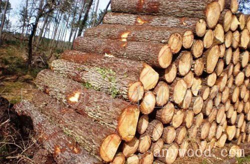批木网 anywood.com