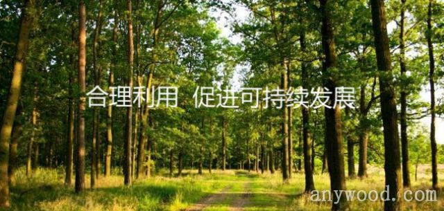 批木网 anywood.com