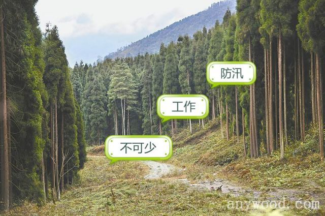 批木网 anywood.com
