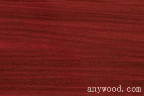 批木网 anywood.com