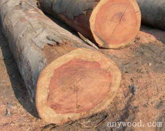 批木网 anywood.com