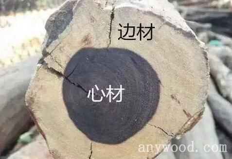 批木网 anywood.com