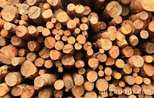 批木网 anywood.com