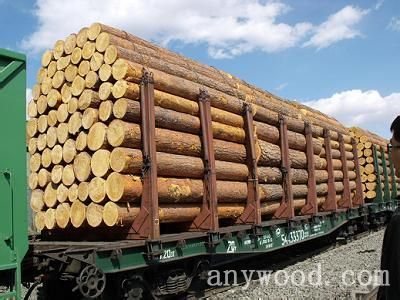 批木网anywood.com
