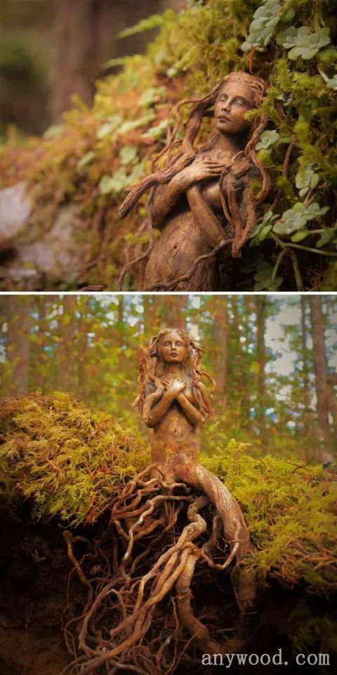 批木网 anywood.com