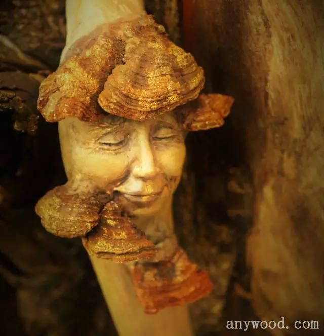 批木网 anywood.com