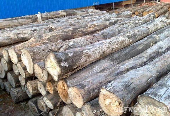 批木网 anywood.com