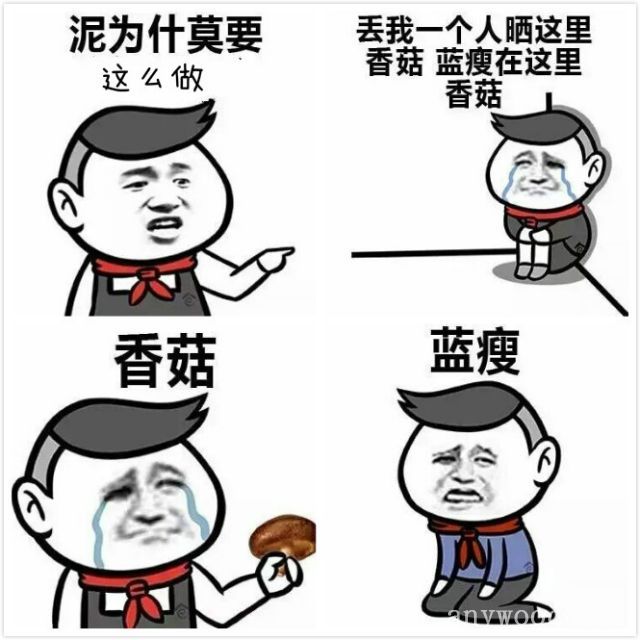 批木网 anywood.com
