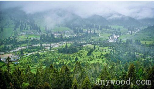 批木网 anywood.com