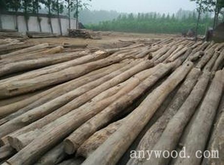 批木网 anywood.com