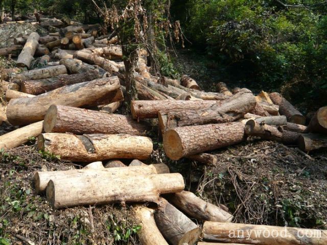 批木网 anywood.com