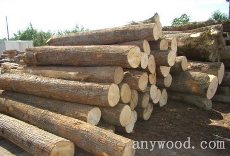 批木网 anywood.com