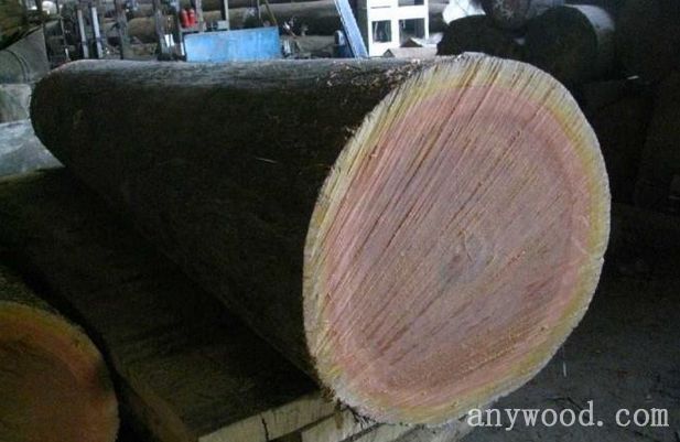 批木网 anywood.com