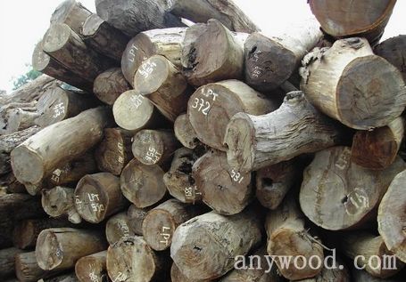 批木网 anywood.com