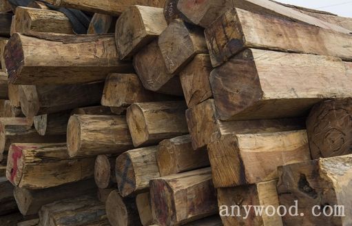 批木网 anywood.com