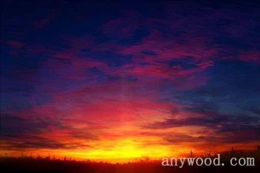 批木网  anywood.com