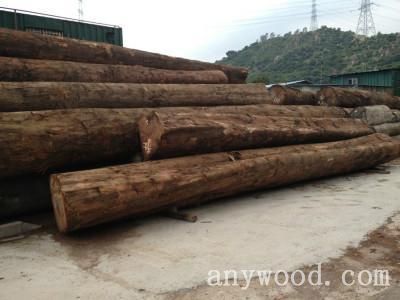 批木网 anywood.com