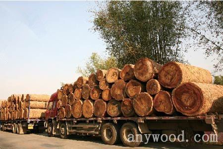 批木网anywood.com