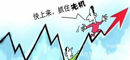 批木网  anywood.com