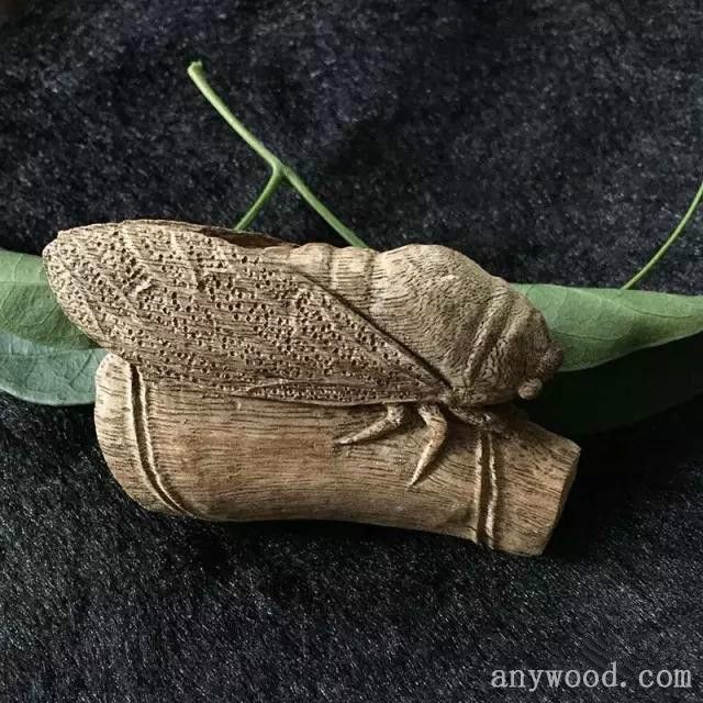 批木网 anywood.com