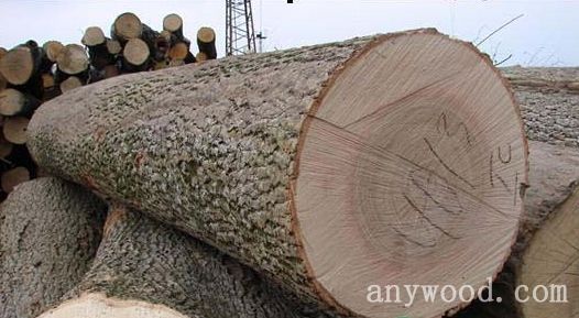 批木网 anywood.com