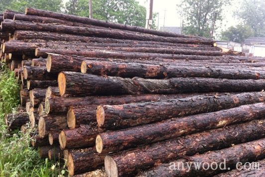 批木网 anywood.com