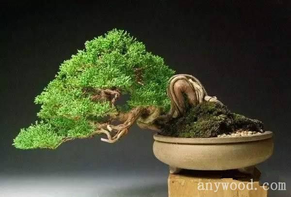 批木网 anywood.com