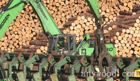 批木网anywood.com