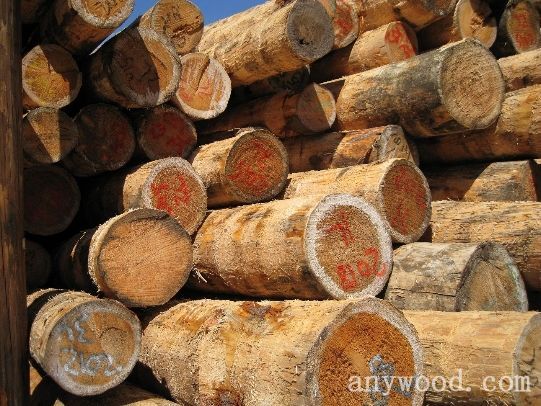 批木网 anywood.com