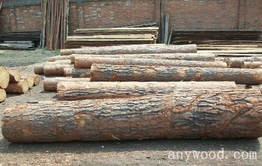 批木网 anywood.com