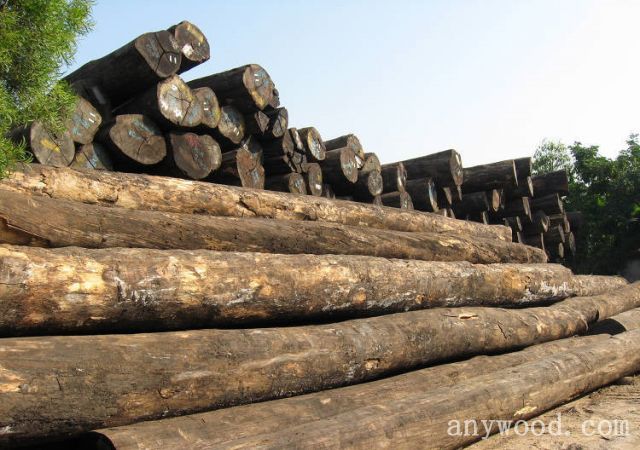 批木网anywood.com