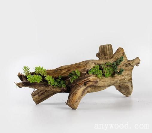 批木网 anywood.com